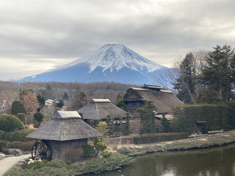 Mount Fuji Private Tour - null