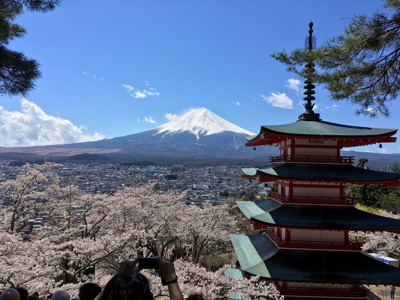 Mount Fuji Private Tour - Mt. Fuji from Arakurayama Sengen Park