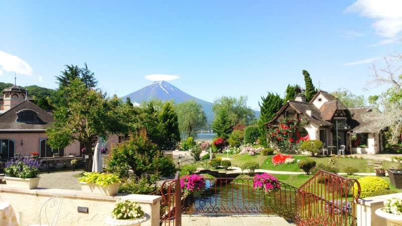 Mount Fuji Private Tour - Option : Kawaguchiko Music Forest Museum