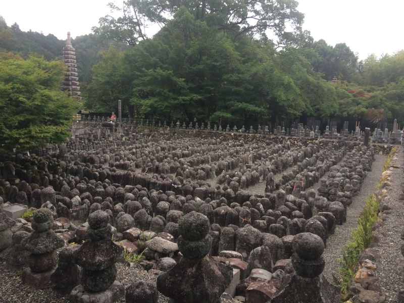 Kyoto Private Tour - -Adashino-Nenbutu-ji
This area was for funeral rite where the dead body is exposed to the wind until it is eroded completely. About 100 years ago, a monk felt sad about abundant grave stones. Then he dug out and rowed them. The number of stone statues is about 8000.
This temple has another bamboo forest.
