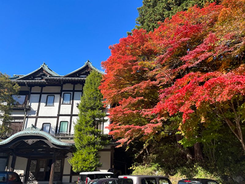 Nikko Private Tour - null