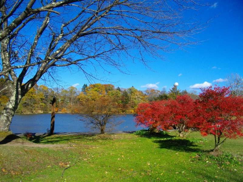 Nagano Private Tour - Lake Shiozawa (Karuizawa)