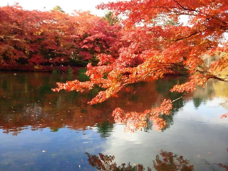 Nagano Private Tour - Kumoba Pond (Karuizawa)