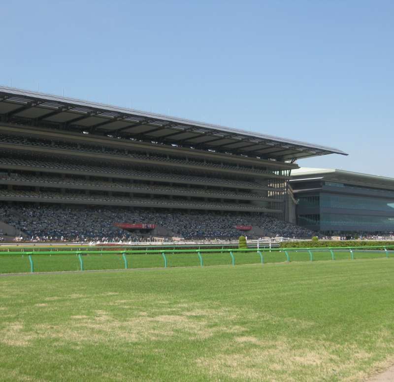 Tokyo Private Tour - Main stand from in field.