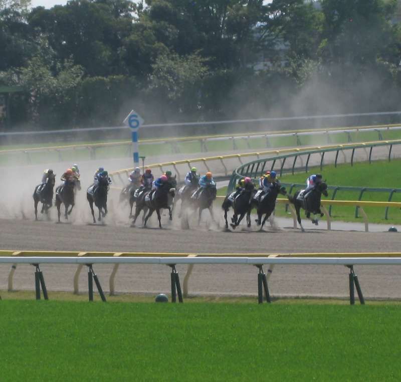 Tokyo Private Tour - Horses in dirt race after the corner.