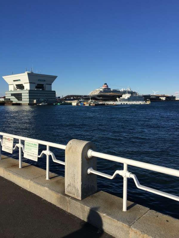 Yokohama Private Tour - Yamashita park and Osanbashi peer: You can enjoy beautiful sea views and luxury passenger ship if you have a chance.