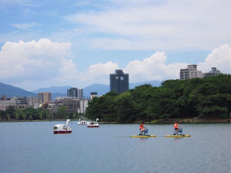 Fukuoka Private Tour - Let's rent a boat and have a relaxing time in Ohori park.