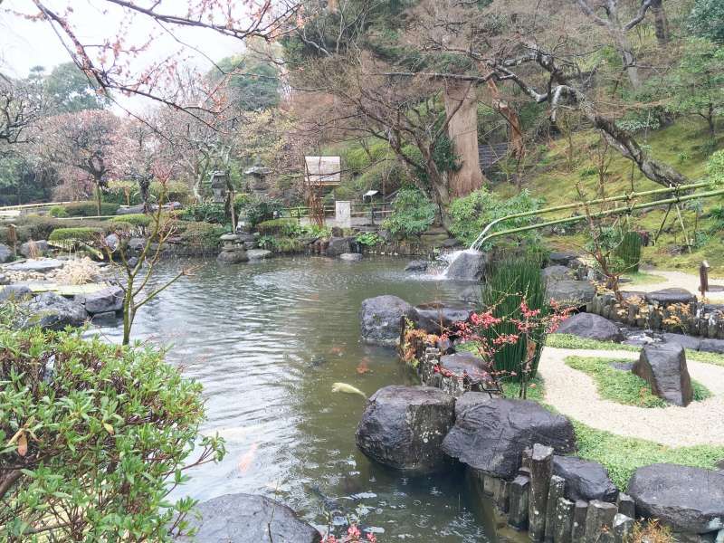 Tokyo Private Tour - Japanese Garden in Hase-dera Temple