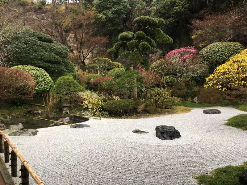 Kamakura Private Tour - Japanese Garden in Hokoku-ji Temple