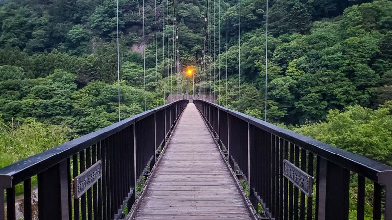 Nikko Private Tour - Kinu Tateiwa Suspension Bridge