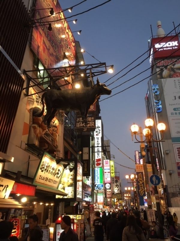 Osaka Private Tour - Cow high up in the air at Dotombori Downtown Osaka