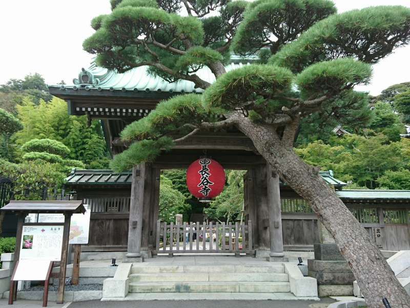 Kamakura Private Tour - Hasedera Temple