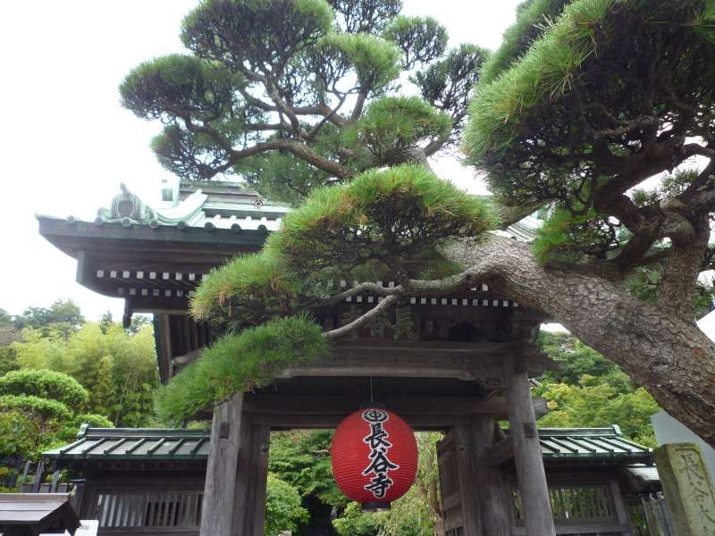 Kamakura Private Tour - Der Hase-Tempel