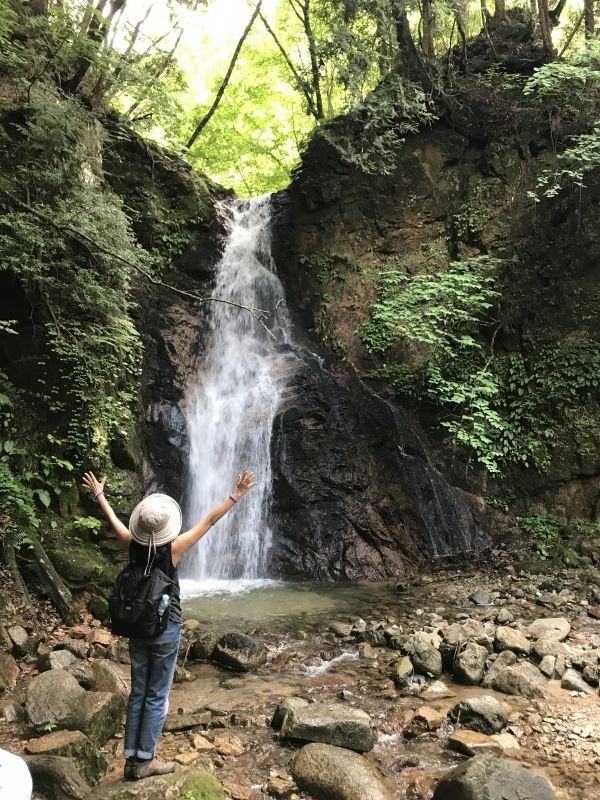 Gifu Private Tour - Two waterfalls along the highway are nice view points for a short break.