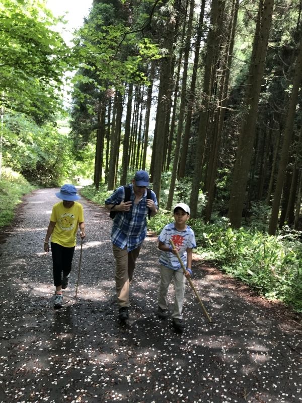 Gifu Private Tour - You can easily walk through the properly paved highway to the next post-town.