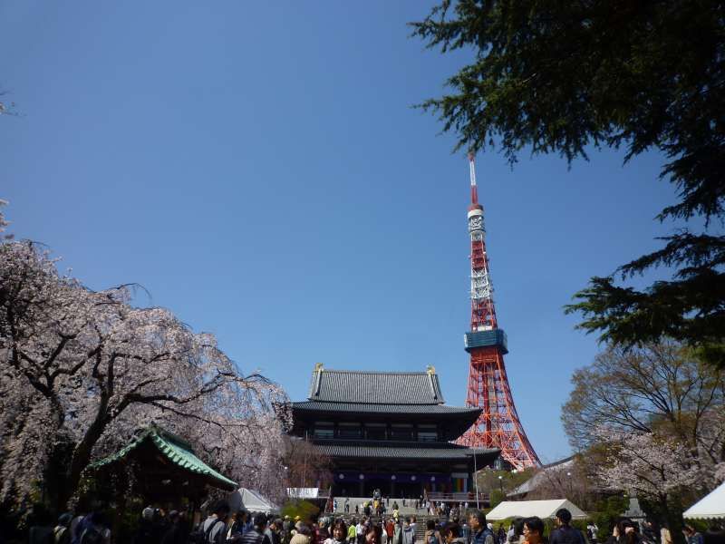 Tokyo Private Tour - Der Zojo-Tempel und der Tokio-Turm