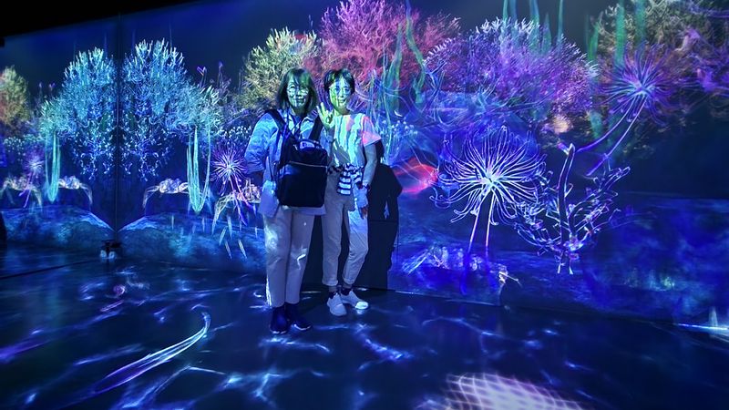 Tokyo Private Tour - Wanna experience TeamLab?  It's highly popular in Japan.