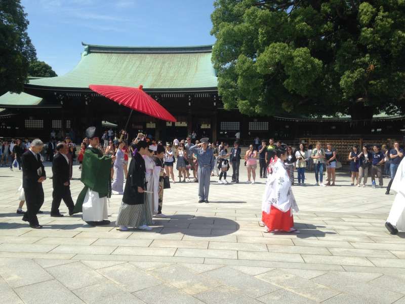 Tokyo Private Tour - If we're lucky, we could catch a glimpse of a wedding ceremony at the Meiji-jingu shrine. (#1)