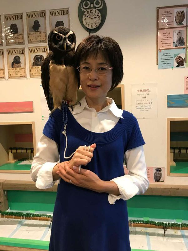 Tokyo Private Tour - The owls range from palm-size to about this size! Amazing! (#8)