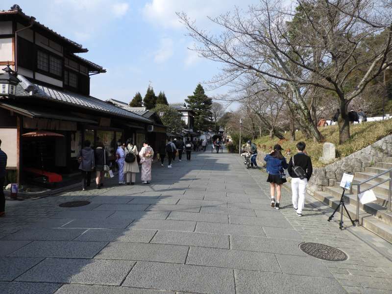 Kyoto Private Tour - Sannenzaka and Ninenzaka paths in Higashiyama