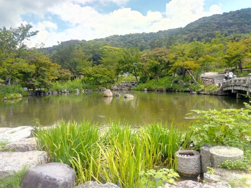 Kyoto Private Tour - Maruyama park - Gion area