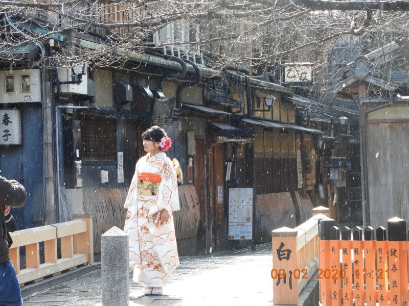 Kyoto Private Tour - Tatsumi bridge / Gion area