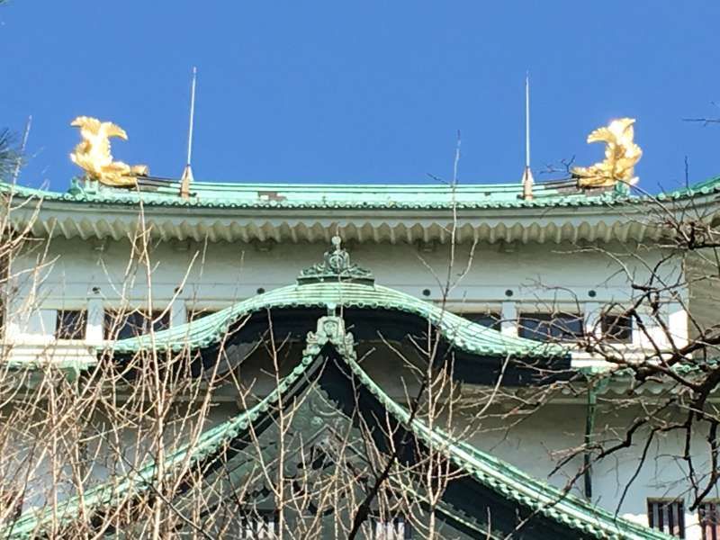 Nagoya Private Tour - Nagoya Main Castle Tower