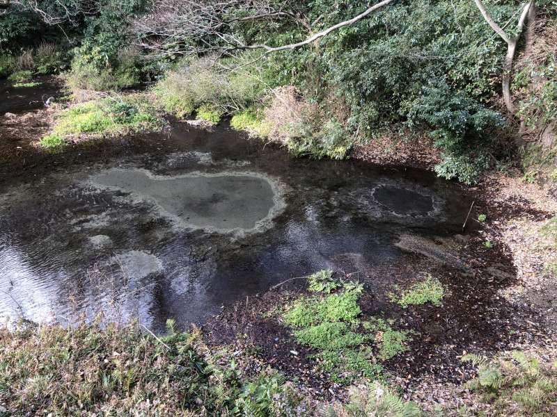 Other Shizuoka Locations Private Tour - There are several springs of various shapes and sizes, which won't make you boring.