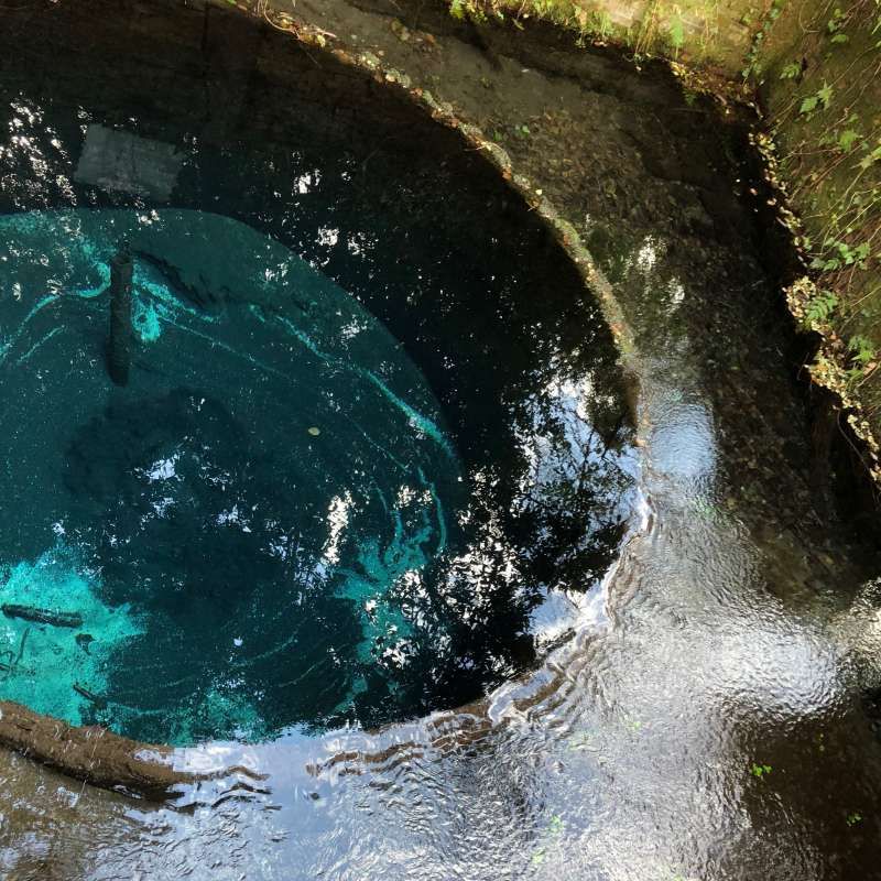 Other Shizuoka Locations Private Tour - Sunshine and sand make intriguing dark green colors in water.