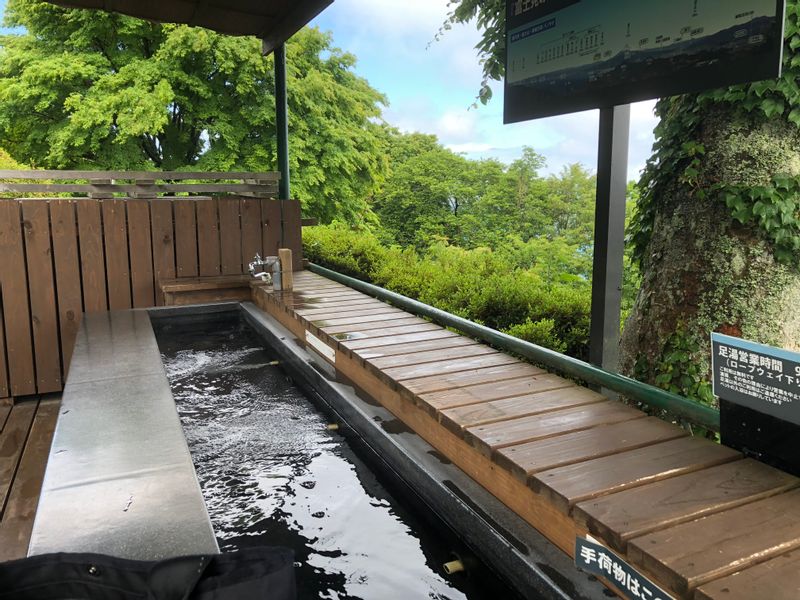 Other Shizuoka Locations Private Tour - The view of Mt. Fuji from the footbath