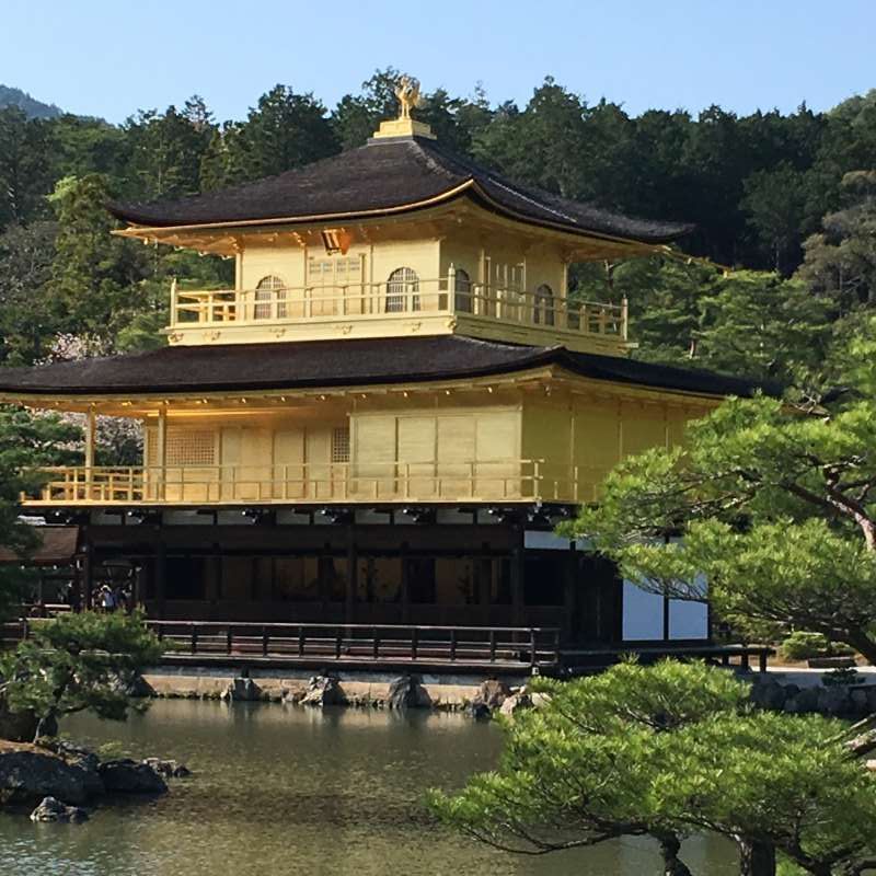 Kyoto Private Tour - Golden pavilion 