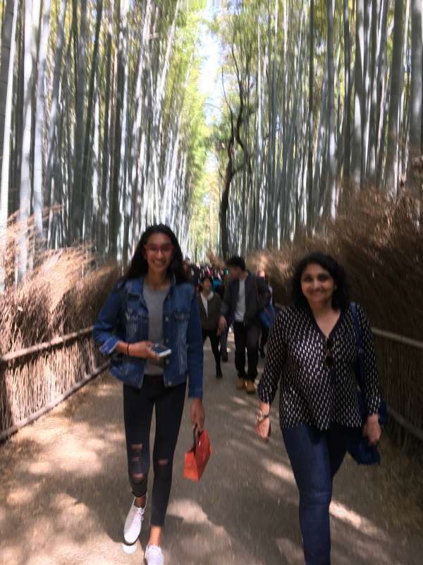 Kyoto Private Tour - Bamboo forest