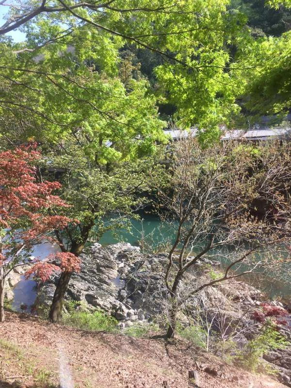 Kyoto Private Tour - The view from trorry train