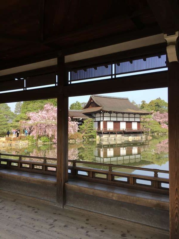 Kyoto Private Tour - The view from the bridge in Shinen garden.