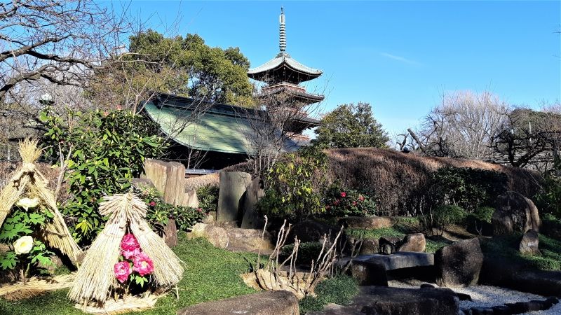 Tokyo Private Tour - Ancient pagoda & peony flowers