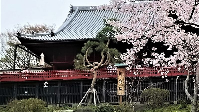 Tokyo Private Tour - Kiyomizu temple in Ueno? Not in Kyoto?