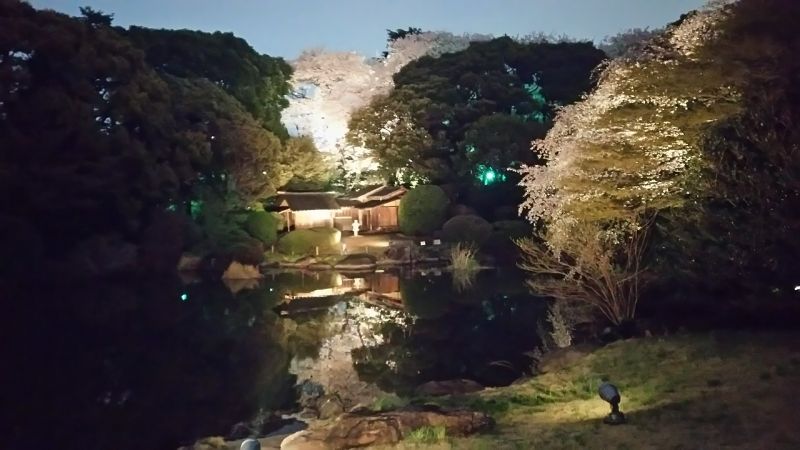 Tokyo Private Tour - Traditional garden of Tokyo National Museum at night