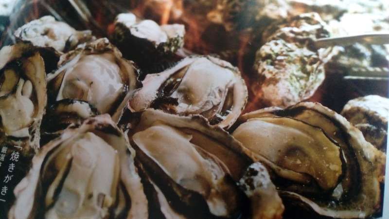 Hiroshima Private Tour - Grilled oysters. you can enjoy oysters grown in Miyajima