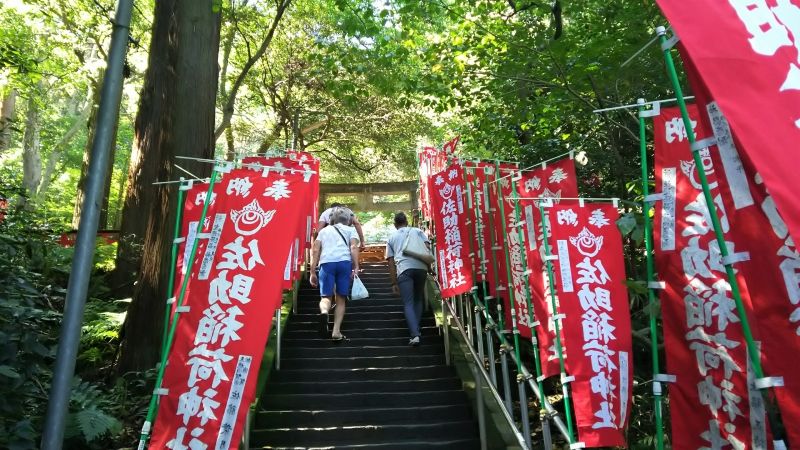 Kamakura Private Tour - Stairs to another ancient shrine