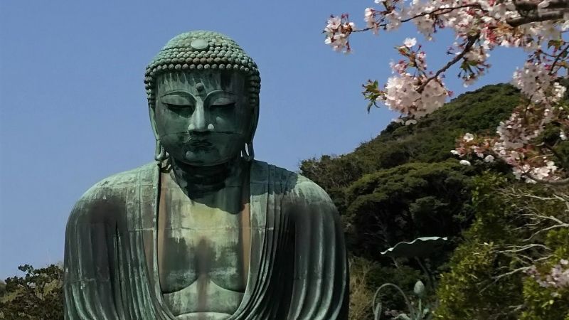 Kamakura Private Tour - Encounter with Great Buddha descending the hill