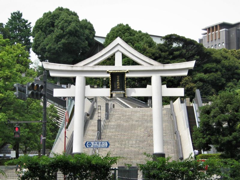 Tokyo Private Tour - Entrance Torii Gate of Hie shrine