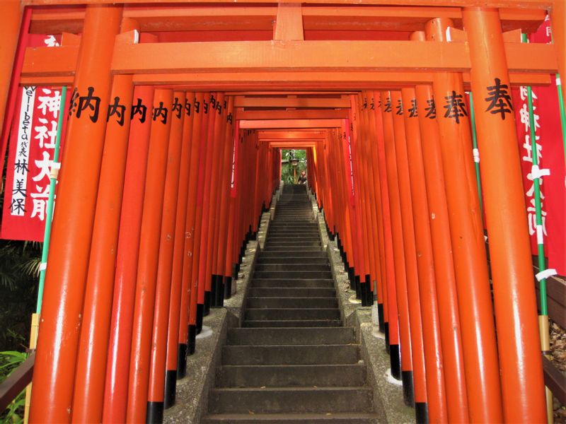 Tokyo Private Tour - Red Torii Gates Tunnel in Hie shrine