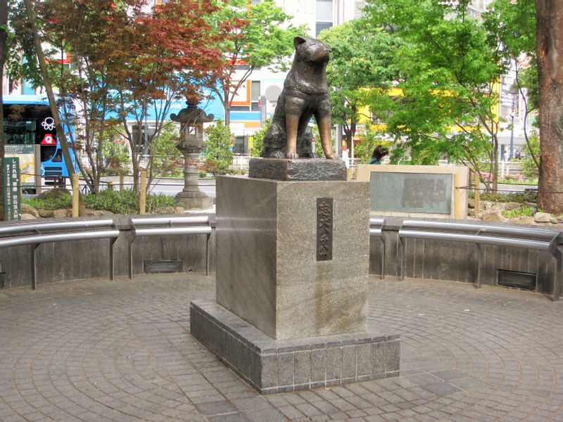 Tokyo Private Tour - Shibuya: Hachi dog statue