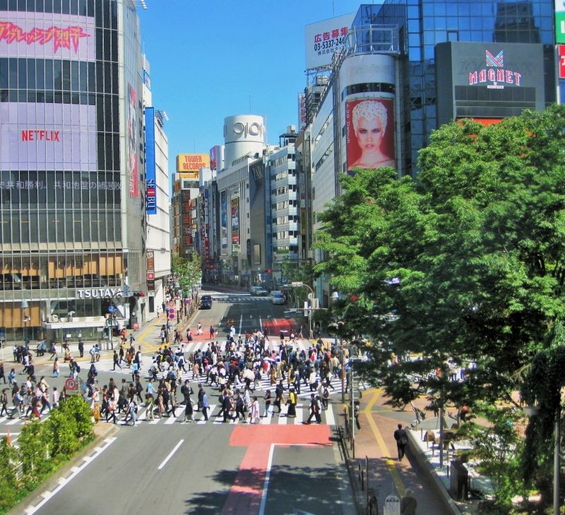 Tokyo Private Tour - Shibuya: Crazy crossing