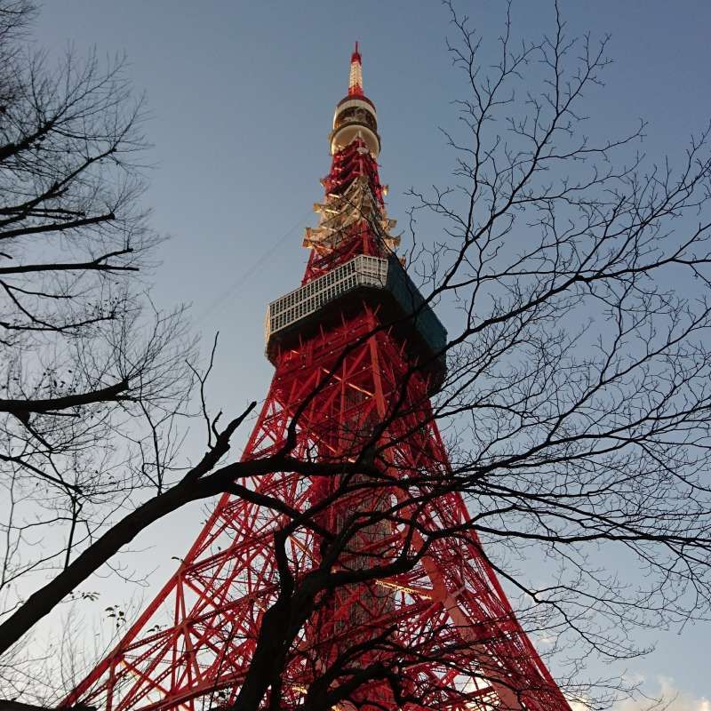 Tokyo Private Tour - Tokyo tower at sunset