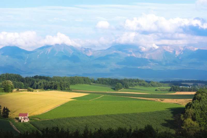 Sapporo Private Tour - Patchwork Road in Biei