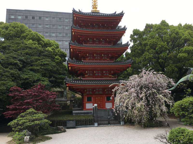 Fukuoka Private Tour - Tochoji Temple ( 23m Tall, Five-story Pagoda )