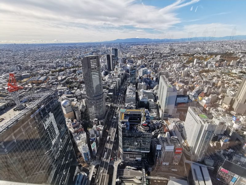 Tokyo Private Tour - View from the Shibuya Sky