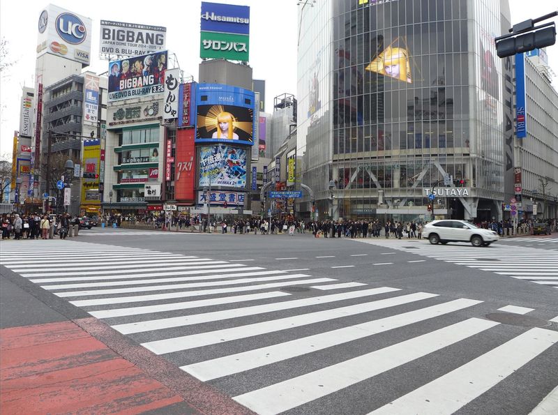 Tokyo Private Tour - Most foreign visitors are surprised at the number of people who pass the road in Shibuya cross