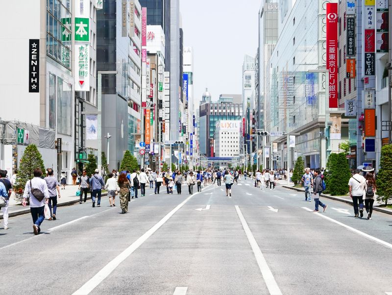 Tokyo Private Tour - Ginza main street on holiday afternoons